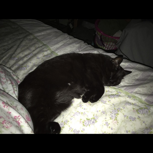 More items to come if you wait... - Picture 2 of 5